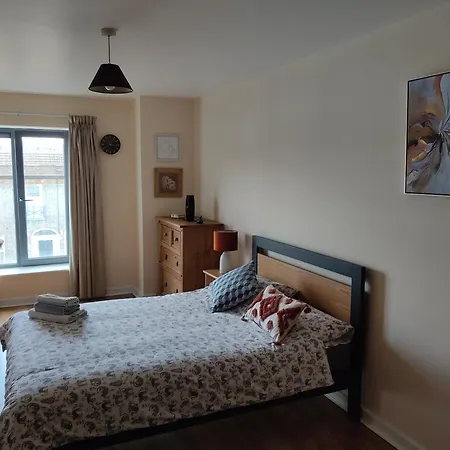Swallows Nest - Spacious Bright Double Bedroom With Ensuite Bathroom Homestay Dublin