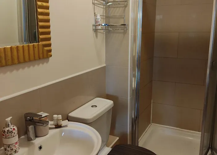 Swallows Nest - Spacious Bright Double Bedroom With Ensuite Bathroom Проживание в семье Дублин